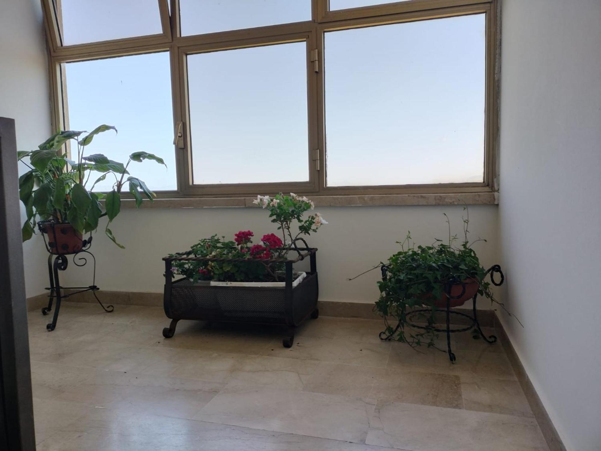 D&P Suites 1 Salemi Εξωτερικό φωτογραφία